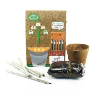 Eco-friendly pencil seeding kit-box